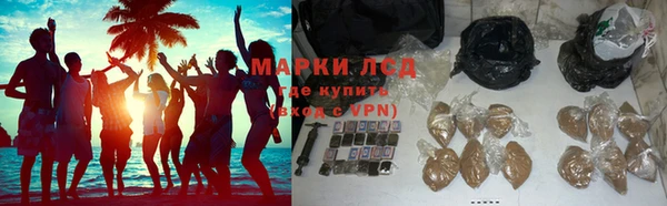 СК Ельня