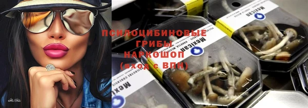 mdpv Елабуга