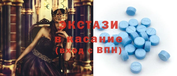 СК Ельня
