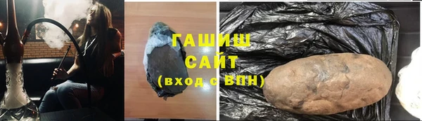 СК Ельня