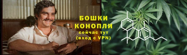 СК Ельня