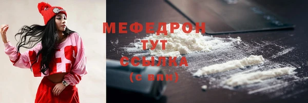 СК Ельня