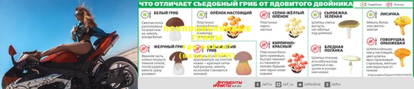 МДМА Заводоуковск