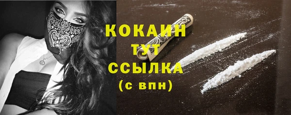 СК Ельня