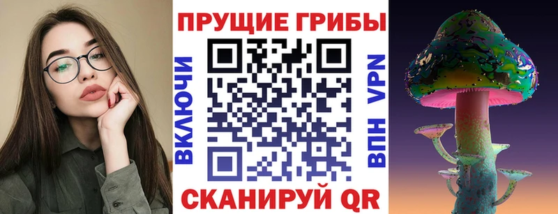 Псилоцибиновые грибы GOLDEN TEACHER  Судогда 