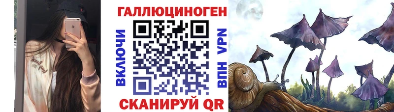 Галлюциногенные грибы мухоморы Судогда